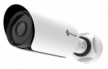 IP камера Milesight MS-C2163-FPN