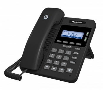 Motorola 100IP-2